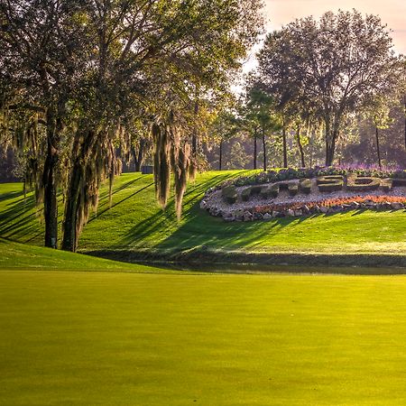 Innisbrook Resort Palm Harbor Exterior foto
